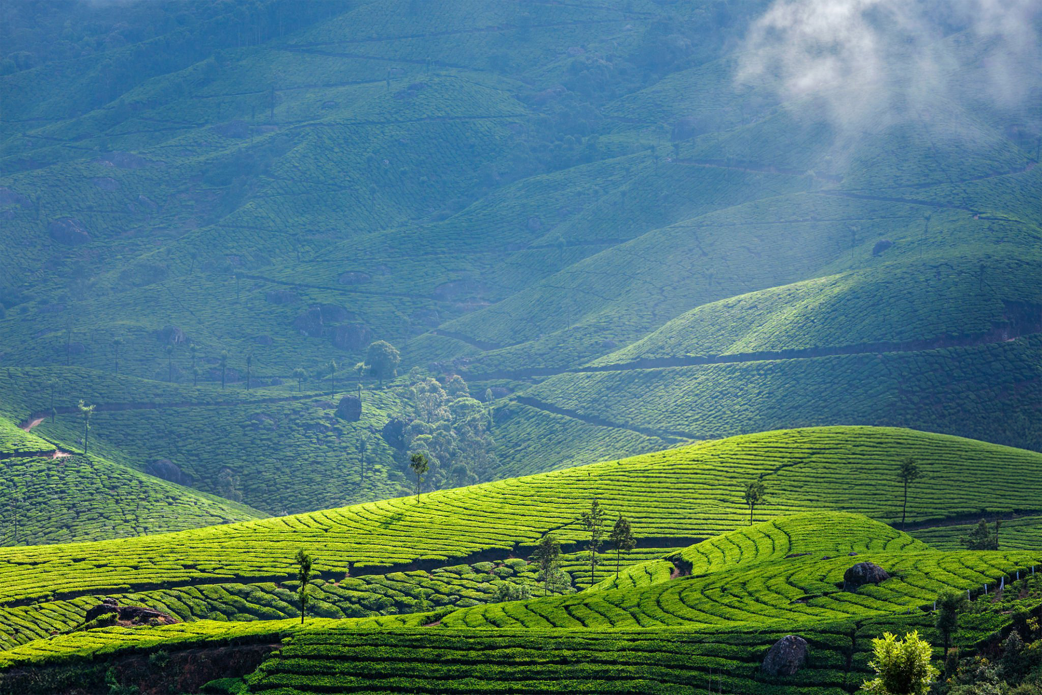 Strategy and concept development